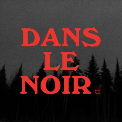 NOLIN,SAFIA / DANS LE NOIR