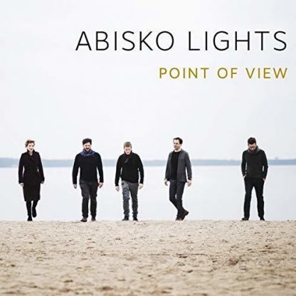 ABISKO LIGHTS / POINT OF VIEW