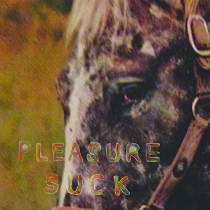 SPIRIT OF THE BEEHIVE / PLEASURE SUCK