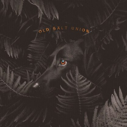 OLD SALT UNION / WHERE THE DOGS DON'T BITE