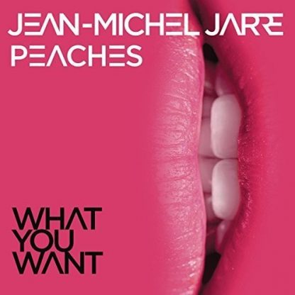 JARRE,JEAN MICHEL / WHAT YOU WANT